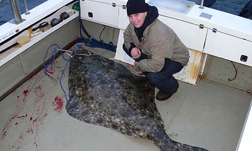 Halibut Catch