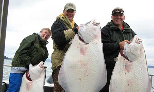 Halibut Catch