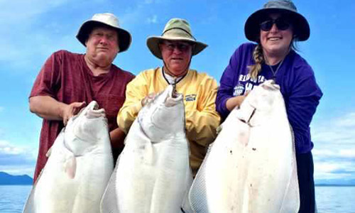 Ocean Fishing