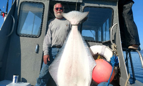 Halibut Catch